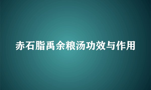 赤石脂禹余粮汤功效与作用
