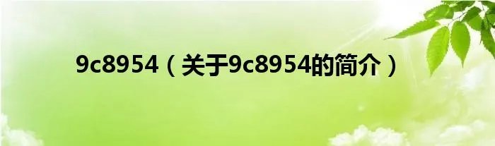 9c8954（关于9c8954的简介）