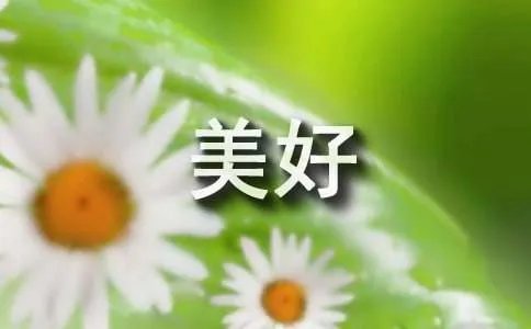 美好的回忆作文450字