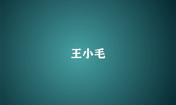 王小毛