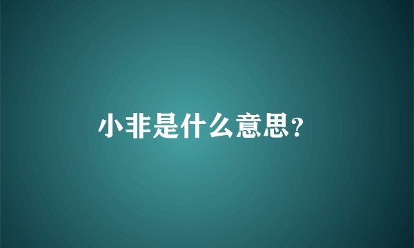 小非是什么意思?