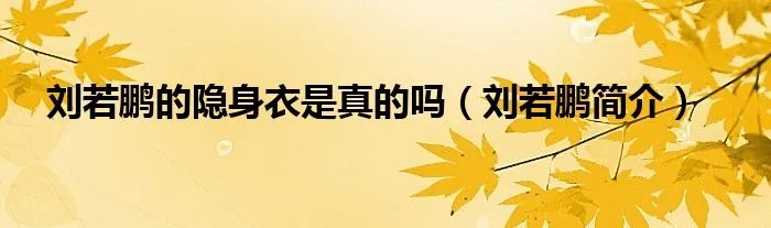 刘若鹏的隐身衣是真的吗（刘若鹏简介）