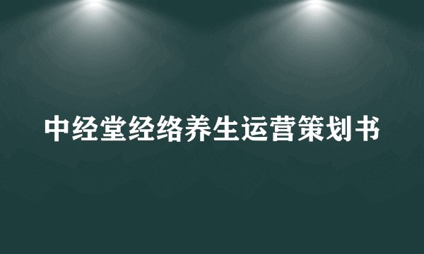 中经堂经络养生运营策划书