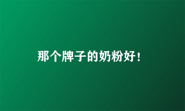 那个牌子的奶粉好！