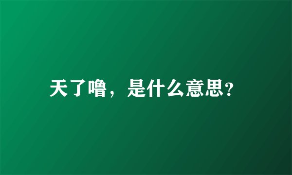 天了噜，是什么意思？