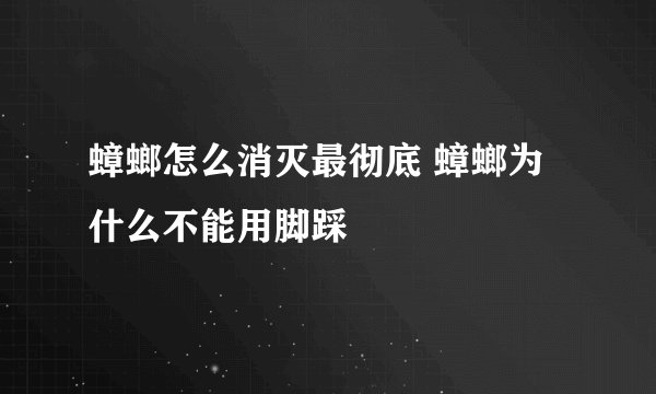 蟑螂怎么消灭最彻底 蟑螂为什么不能用脚踩