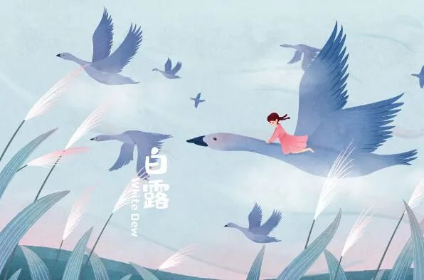 白露为霜上一句是什么  白露为霜什么意思