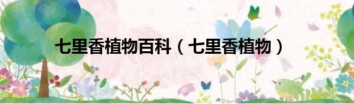 七里香植物百科（七里香植物）