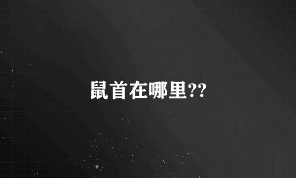 鼠首在哪里??