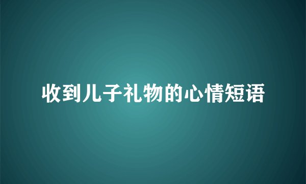 收到儿子礼物的心情短语