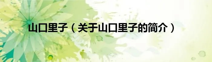 山口里子（关于山口里子的简介）