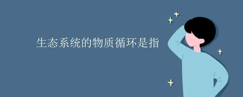 生态系统的物质循环是指