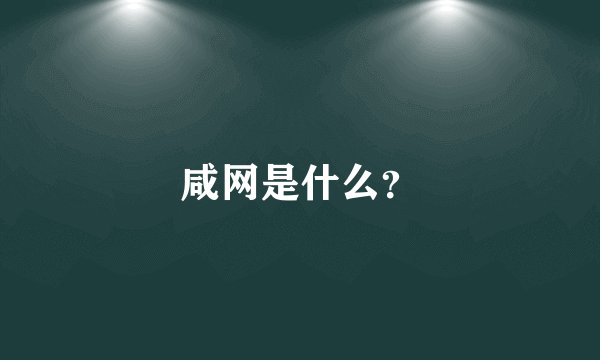 咸网是什么？