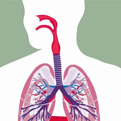 肺癌原发肿瘤的症状体征