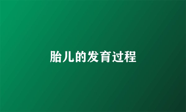 胎儿的发育过程