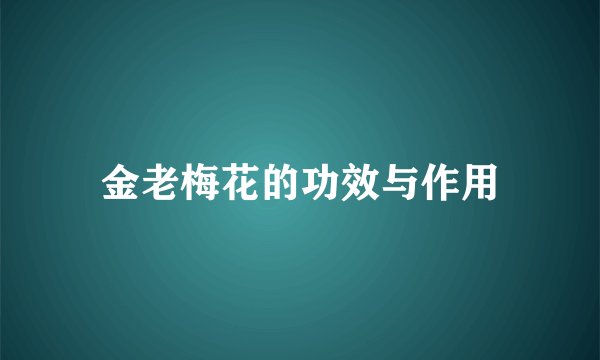 金老梅花的功效与作用