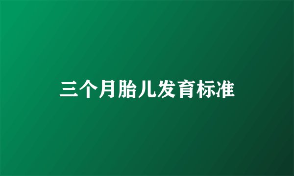 三个月胎儿发育标准