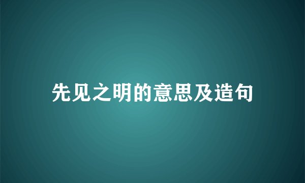 先见之明的意思及造句