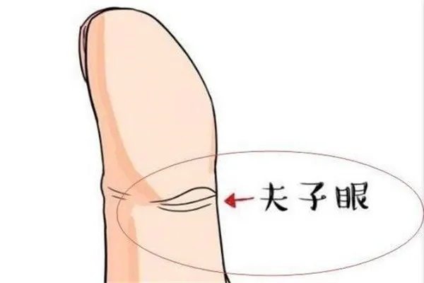 夫子眼分大小吗 给运势带来影响和大小无关(吉祥象征)