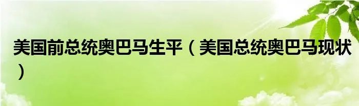 美国前总统奥巴马生平（美国总统奥巴马现状）