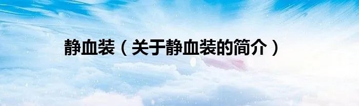 静血装（关于静血装的简介）