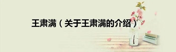 王肃满（关于王肃满的介绍）