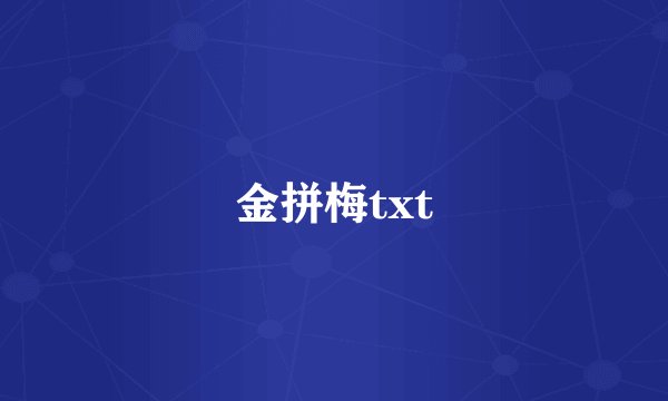 金拼梅txt
