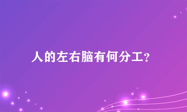 人的左右脑有何分工？