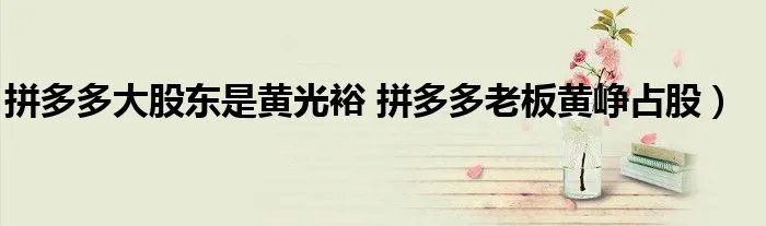 拼多多大股东是黄光裕 拼多多老板黄峥占股）