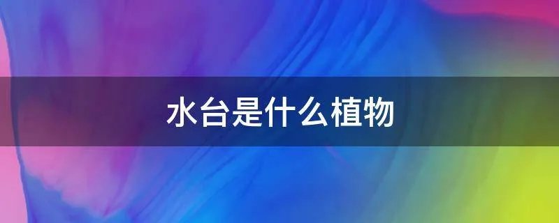 水台是什么植物