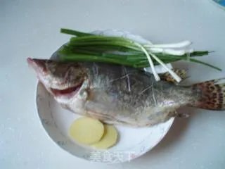 家常桂鱼