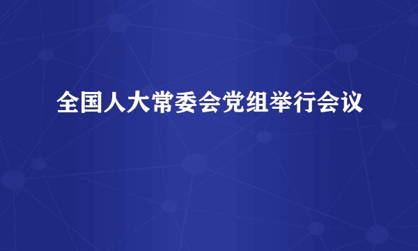 全国人大常委会党组举行会议