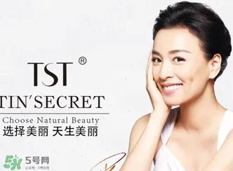 TST是哪个国家的牌子?TST是国内还是国外的品牌?
