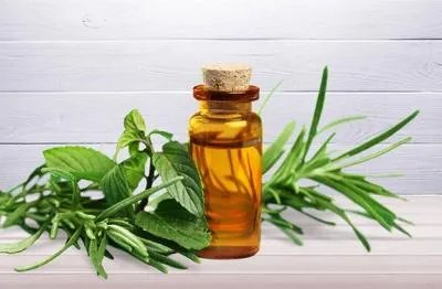 茶树精油的作用和功效