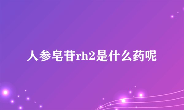 人参皂苷rh2是什么药呢