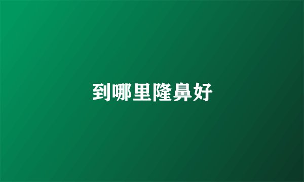 到哪里隆鼻好