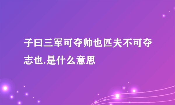 子曰三军可夺帅也匹夫不可夺志也.是什么意思