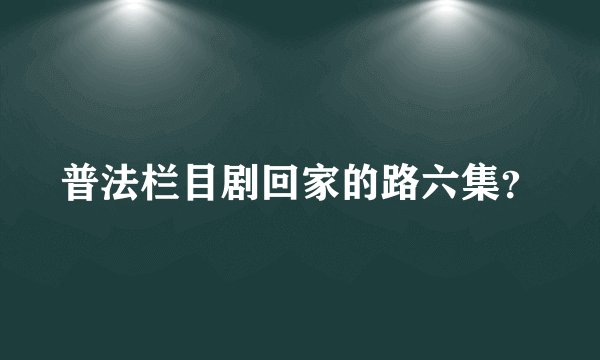 普法栏目剧回家的路六集？