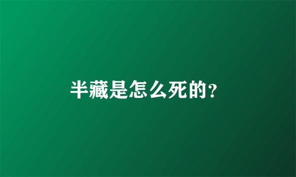 半藏是怎么死的？