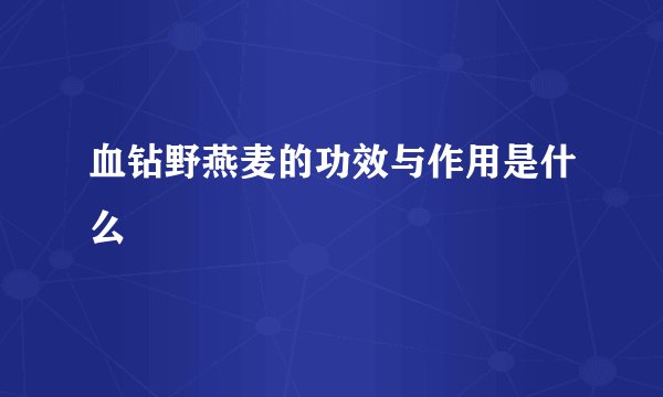血钻野燕麦的功效与作用是什么
