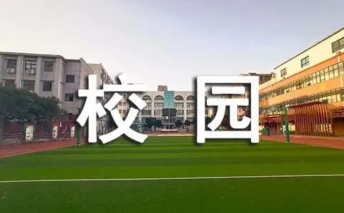 我们的校园作文