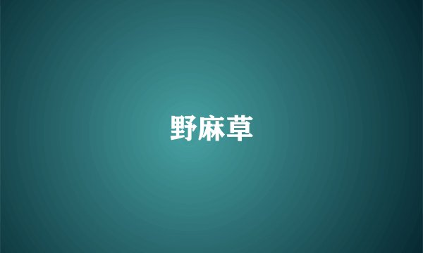 野麻草