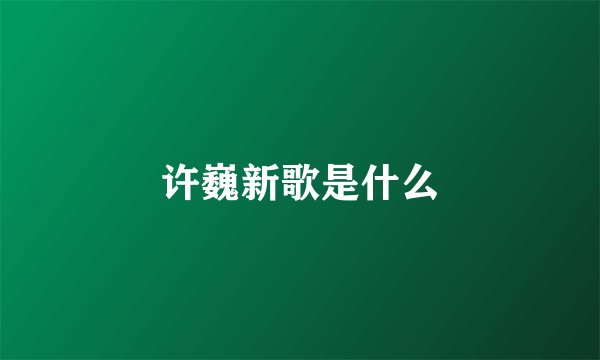 许巍新歌是什么