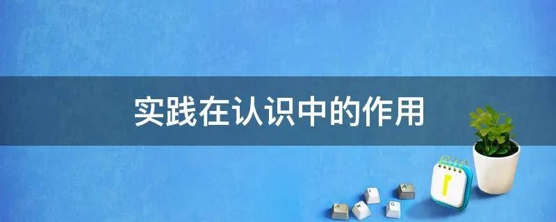 实践在认识中的作用