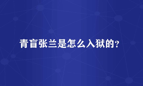 青盲张兰是怎么入狱的？