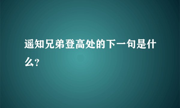 遥知兄弟登高处的下一句是什么?