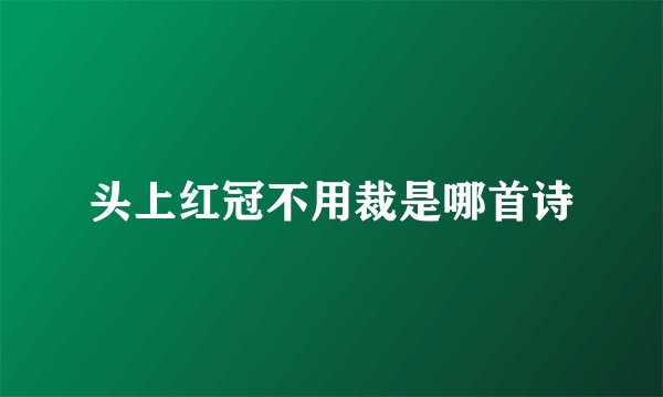头上红冠不用裁是哪首诗