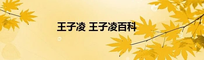 王子凌 王子凌百科