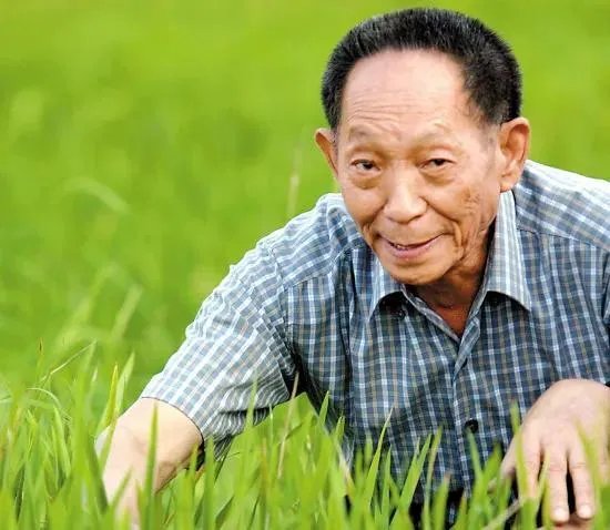 为什么袁隆平院士的儿子都如此优秀?