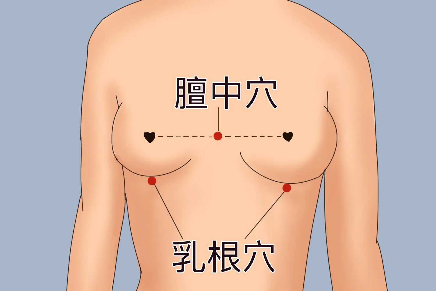最有效丰胸方法图解